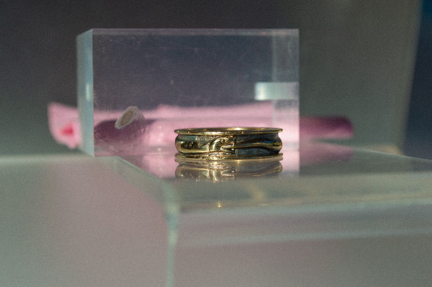 Ouroboros Ring